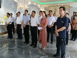 自治区主席陈武率全区年中工作会议第二组深入贺州石立方石业